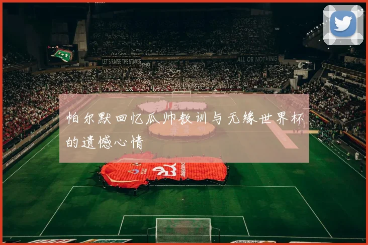 帕尔默回忆瓜帅教训与无缘世界杯的遗憾心情