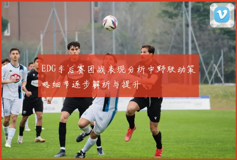EDG季后赛团战表现分析中野联动策略细节逐步解析与提升